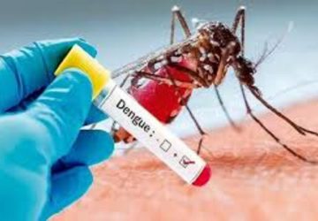 Dengue