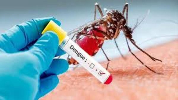 Dengue attack… Caution is the cure!