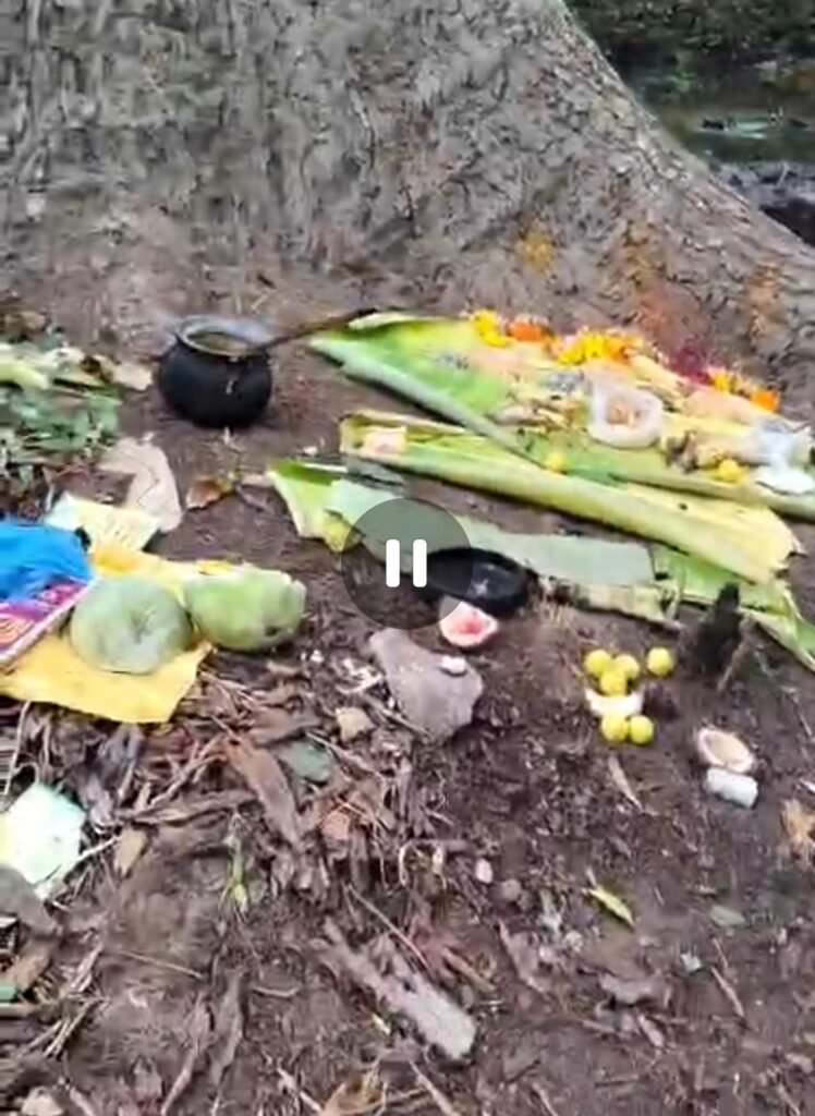 గుప్తనిధుల తవ్వకాల కలకలం..!