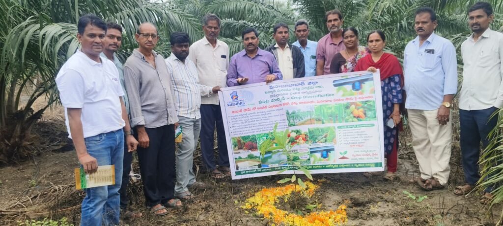 పంట మార్పిడితో రైతులకు అధిక ఆదాయం