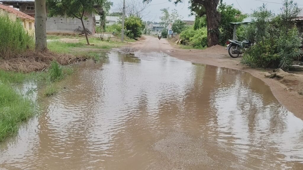 పల్లె ప్రకృతి వనం దారి అధ్వానం