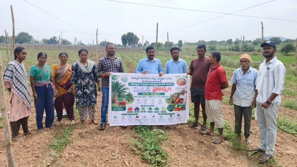 కూరగాయల సాగుతో రైతులకు అదనపు ఆదాయం