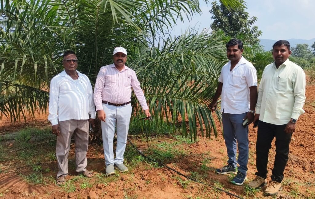 యాసంగిలో ఆరుతడి పంటల సాగుతో రైతులకు అధిక ఆదాయం